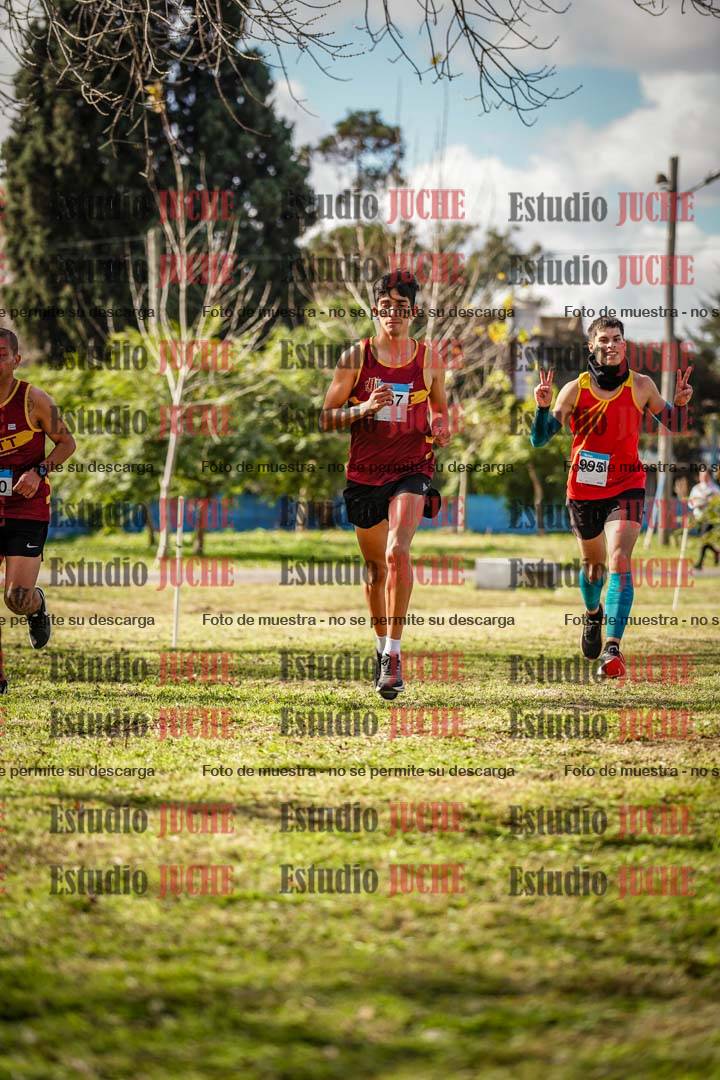 Fotos en el circuito