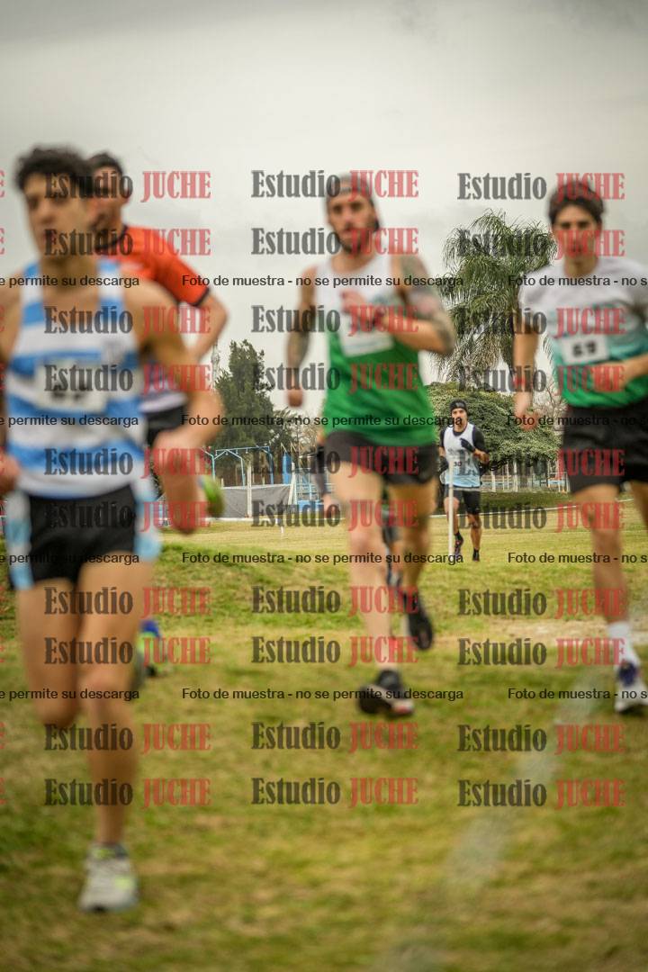 Fotos en el circuito