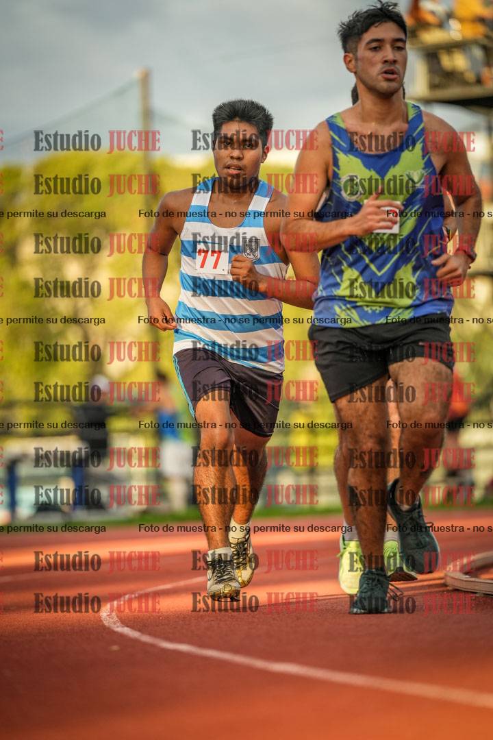 Fotos de los 5000 m llanos