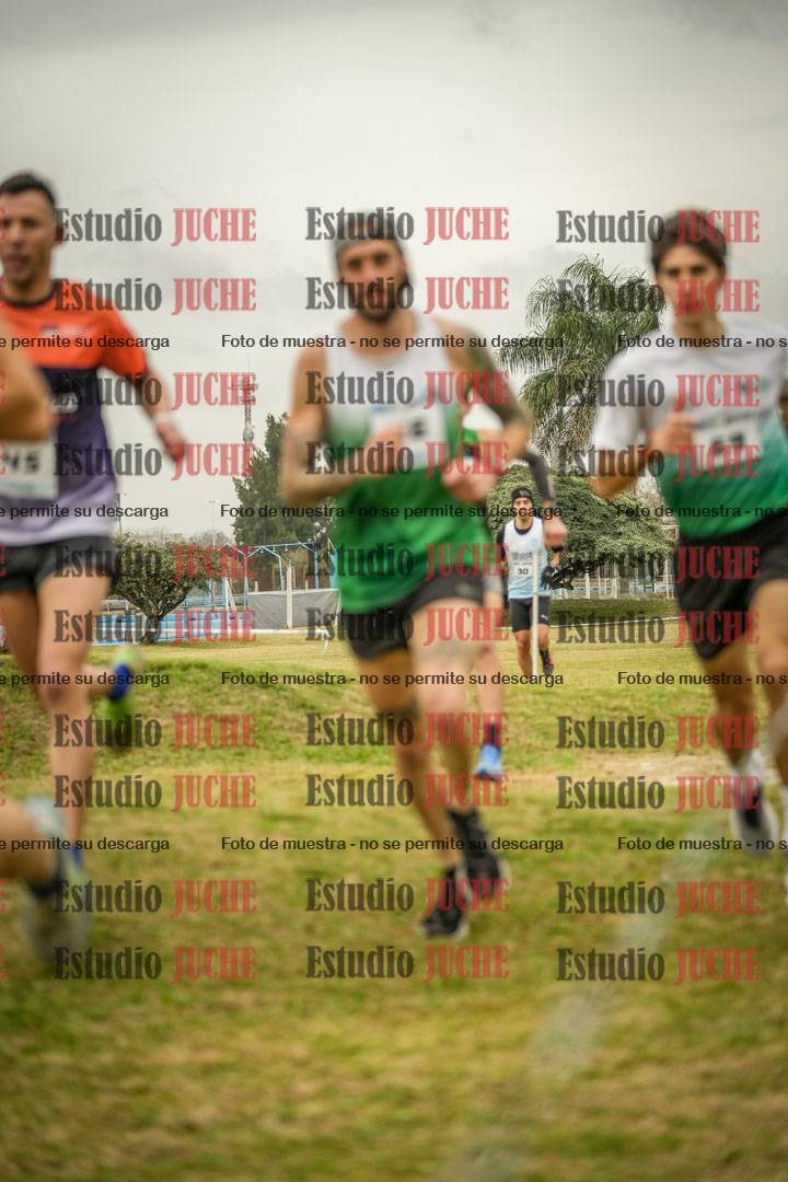 Fotos en el circuito