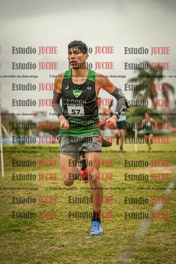 Fotos en el circuito