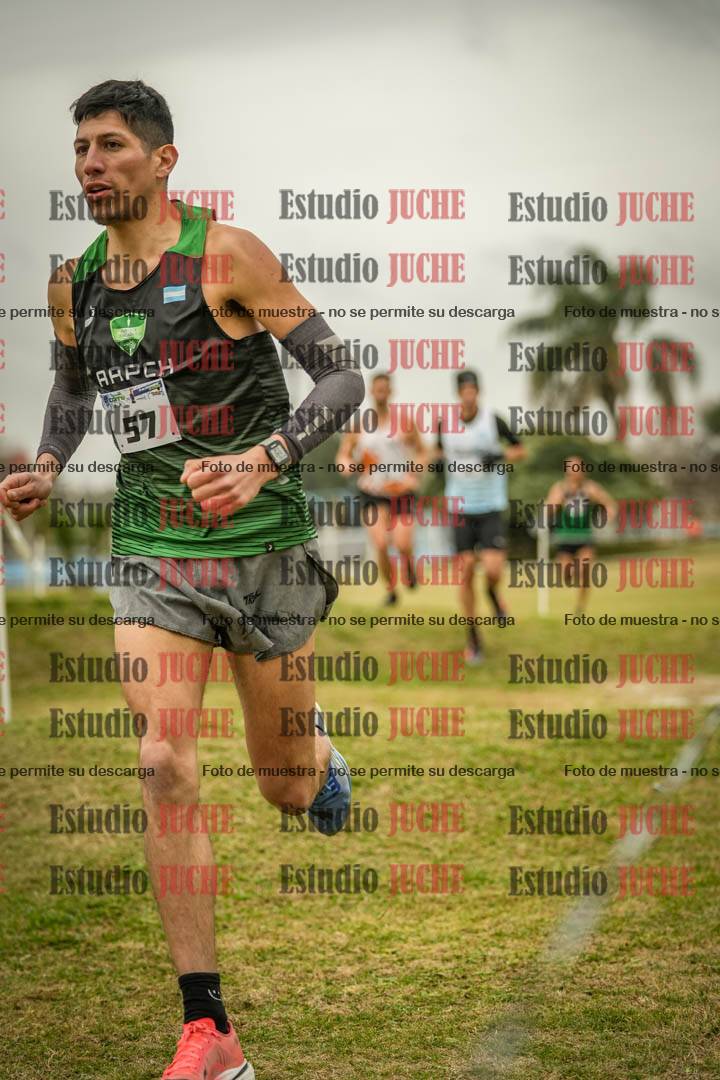 Fotos en el circuito