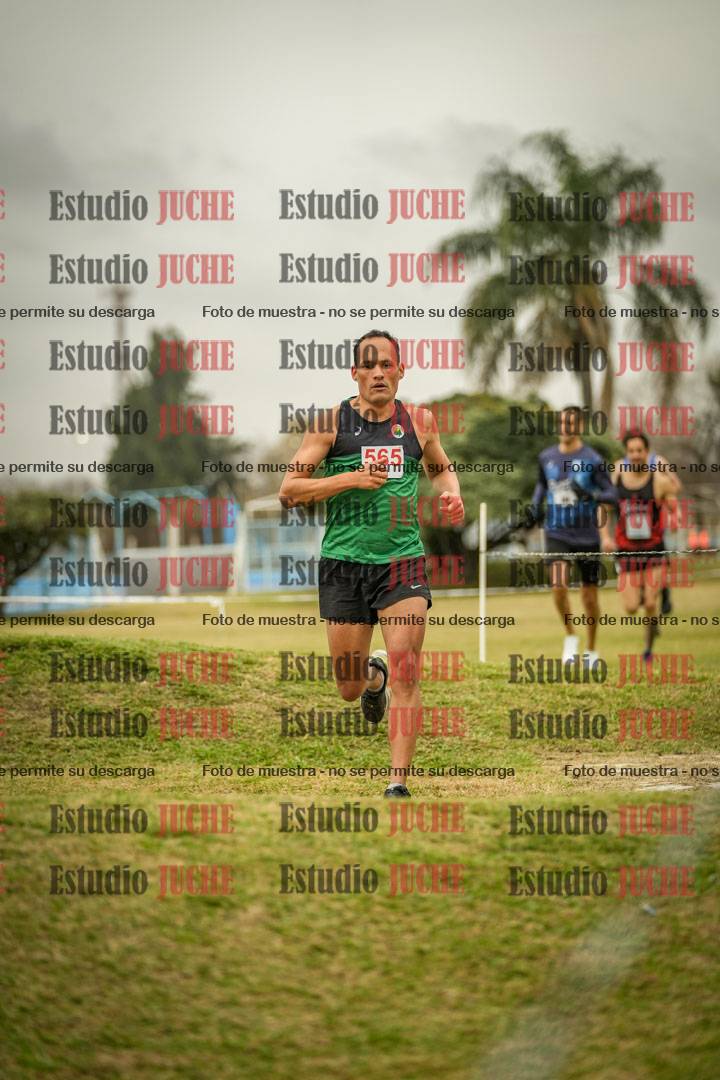 Fotos en el circuito