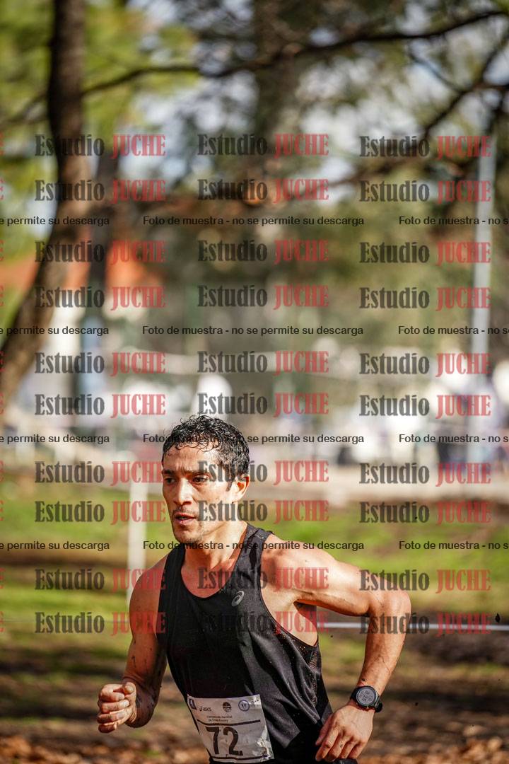 Fotos en el circuito