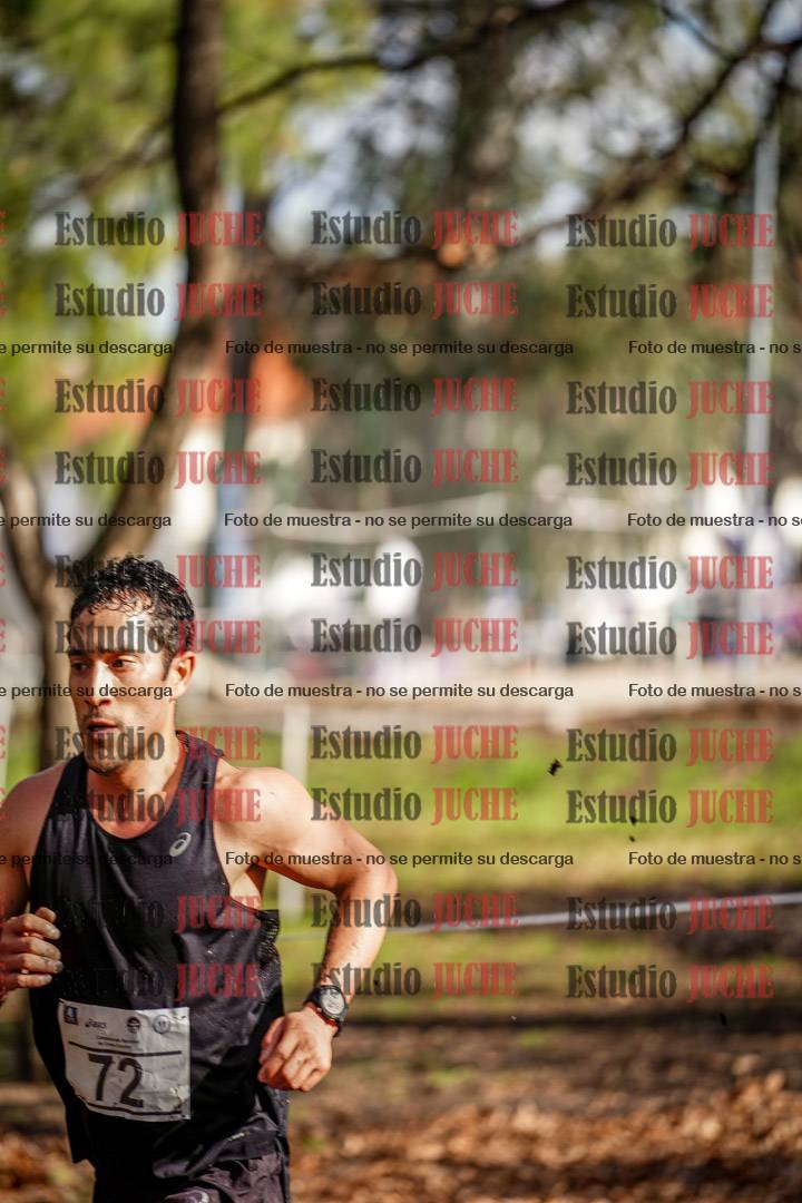 Fotos en el circuito