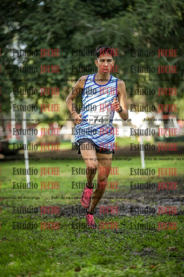 Fotos en el circuito
