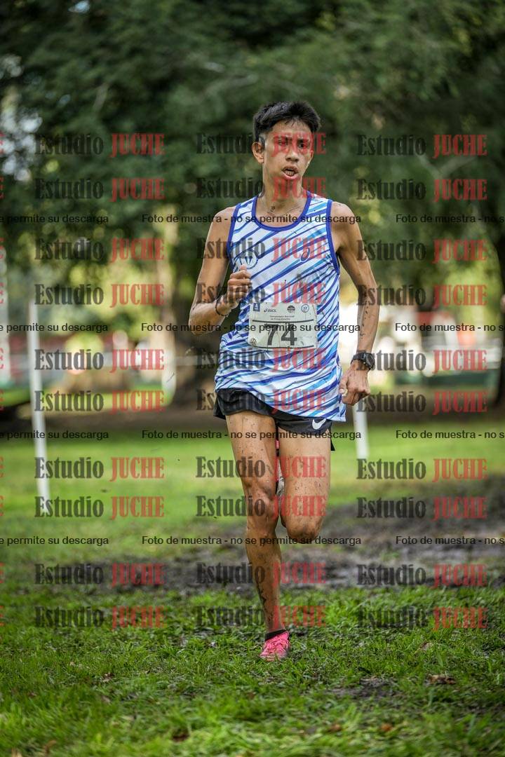 Fotos en el circuito