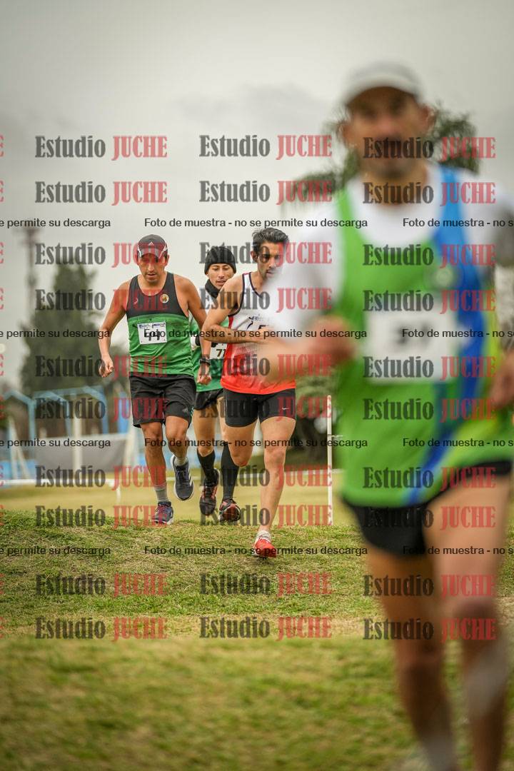 Fotos en el circuito