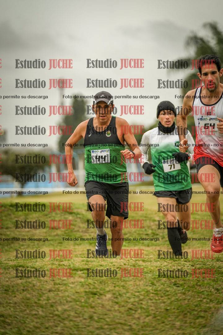 Fotos en el circuito