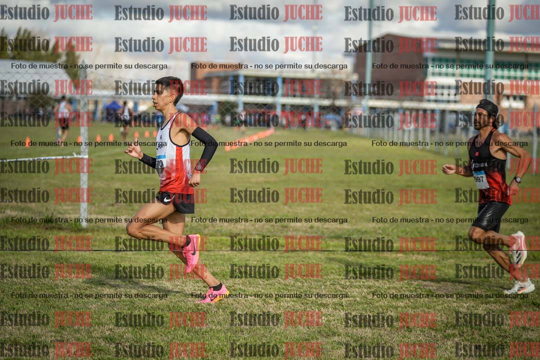 Fotos en el circuito