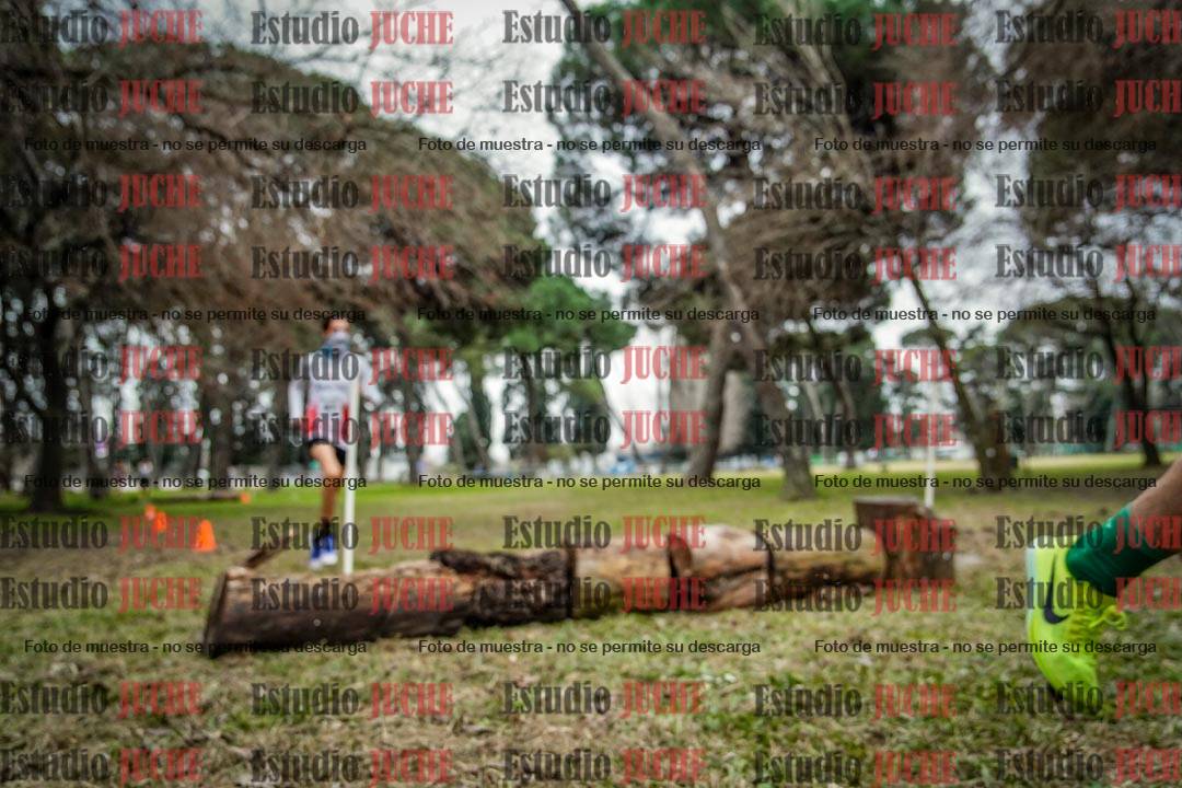 Fotos en el circuito