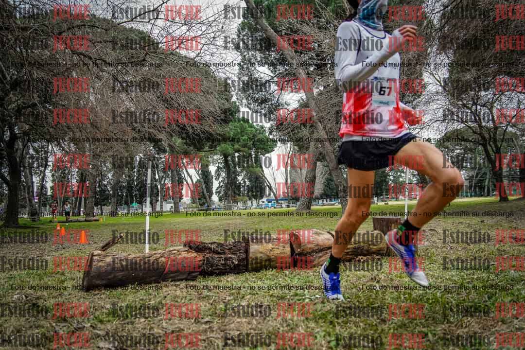 Fotos en el circuito