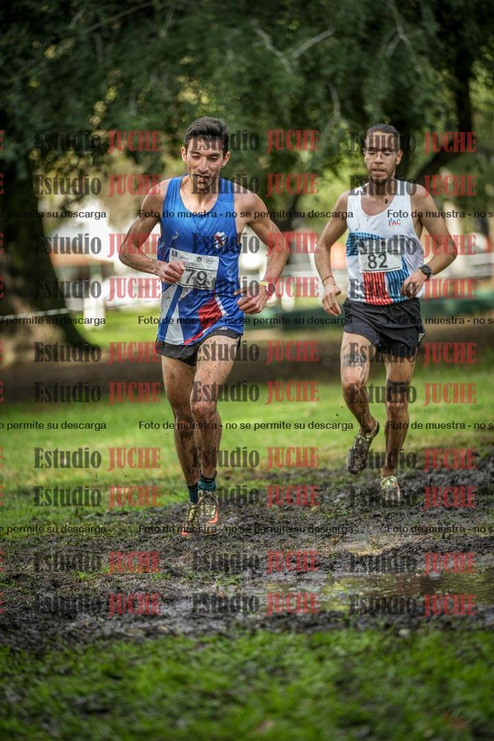 Fotos en el circuito