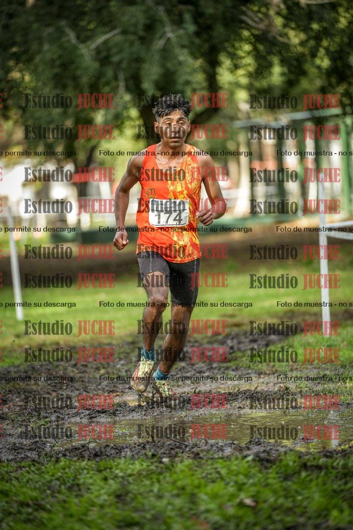 Fotos en el circuito