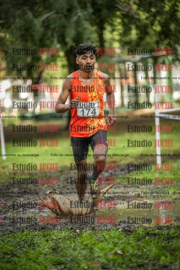 Fotos en el circuito