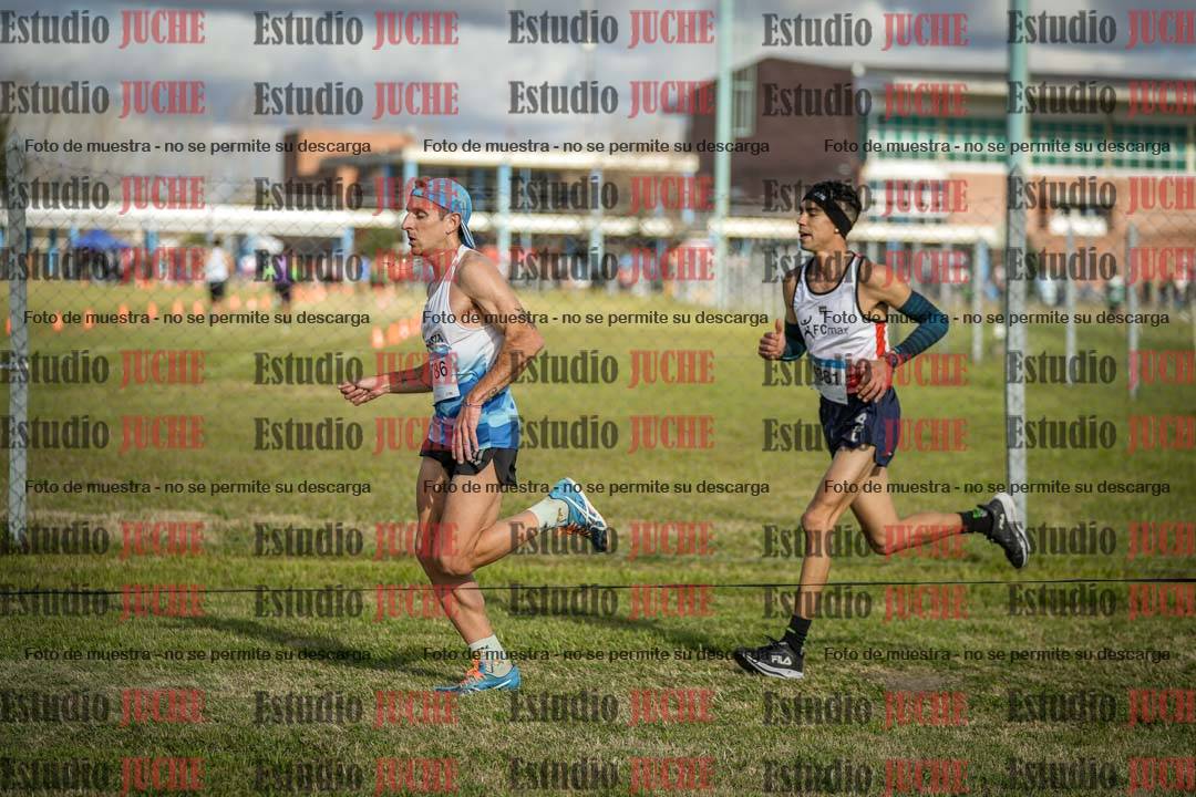 Fotos en el circuito