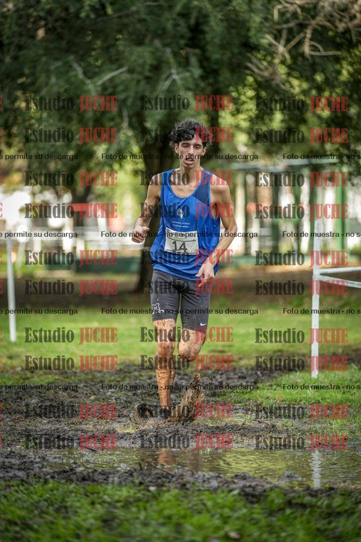 Fotos en el circuito