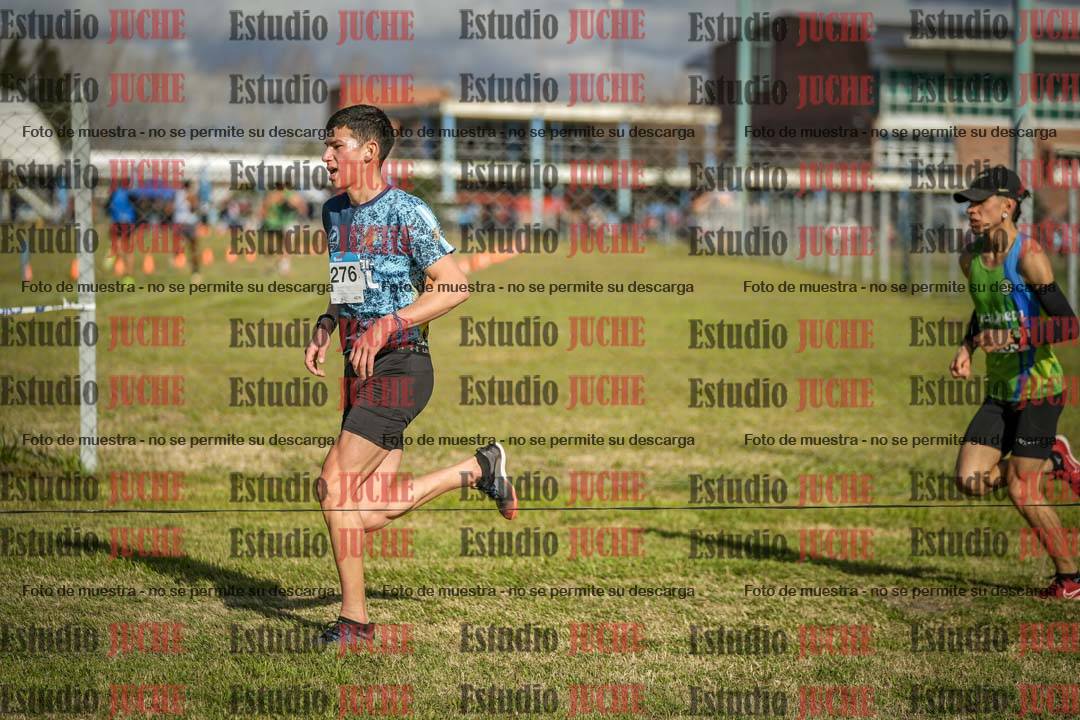 Fotos en el circuito