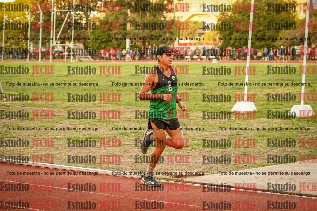 Fotos de los 3000 m llanos de varones