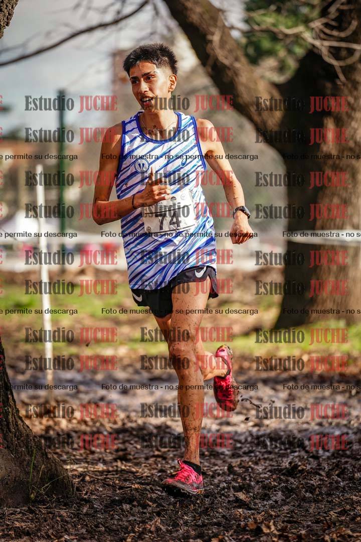Fotos en el circuito