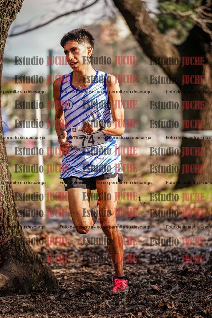 Fotos en el circuito