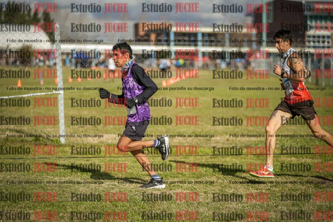 Fotos en el circuito