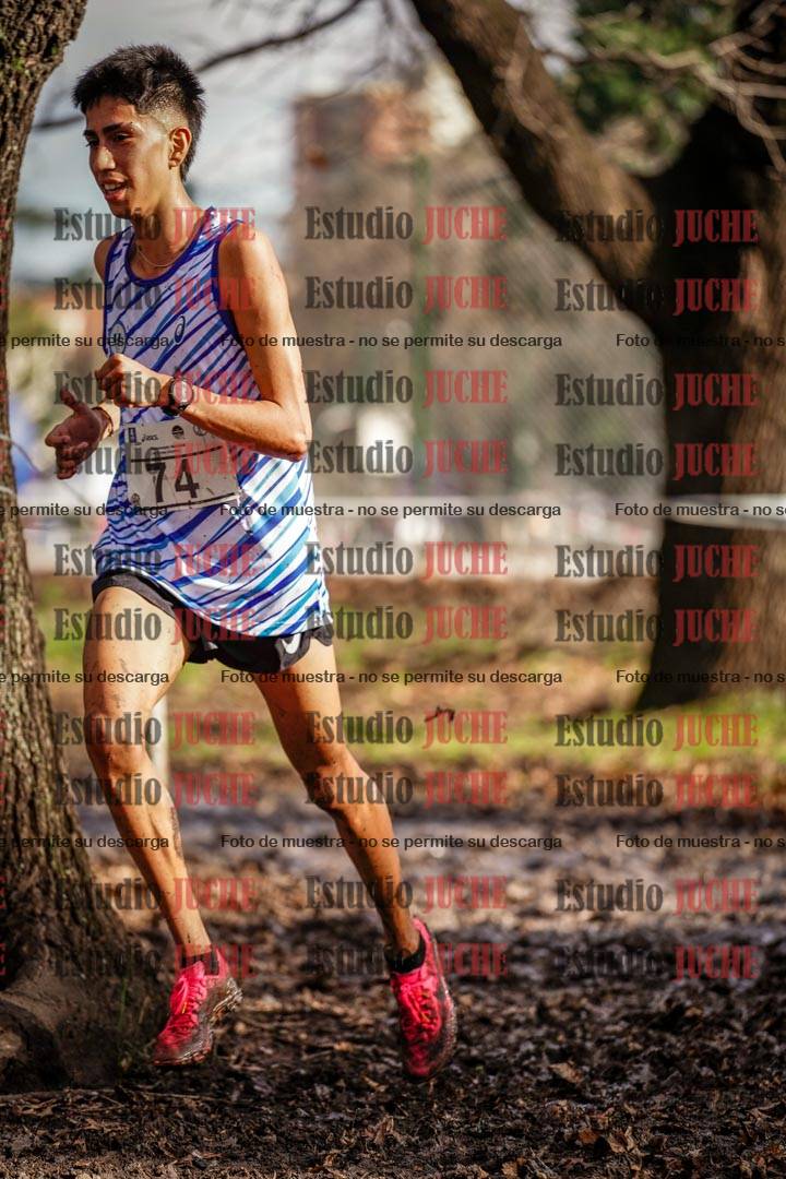 Fotos en el circuito