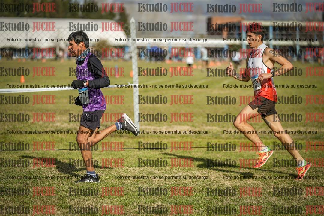 Fotos en el circuito
