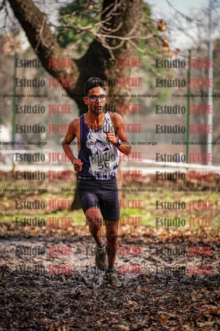 Fotos en el circuito