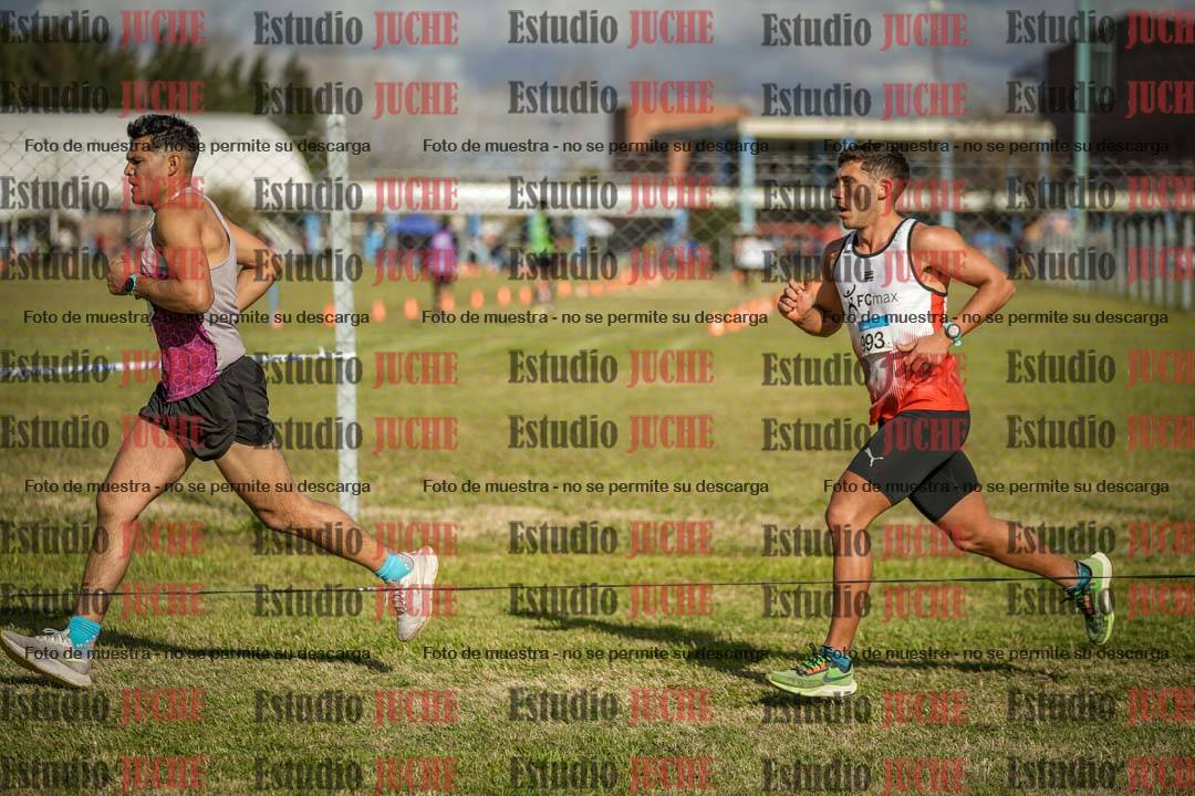 Fotos en el circuito