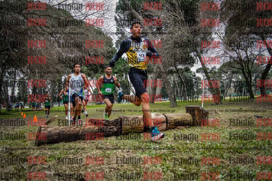 Fotos en el circuito