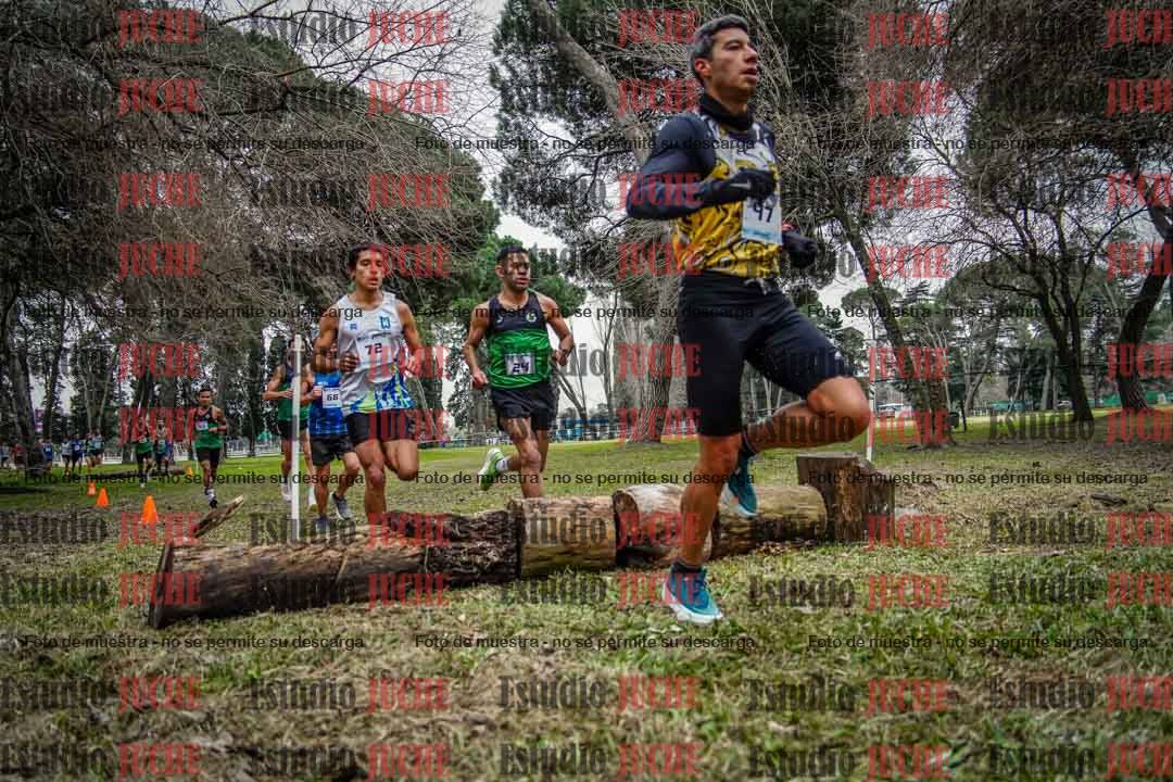 Fotos en el circuito