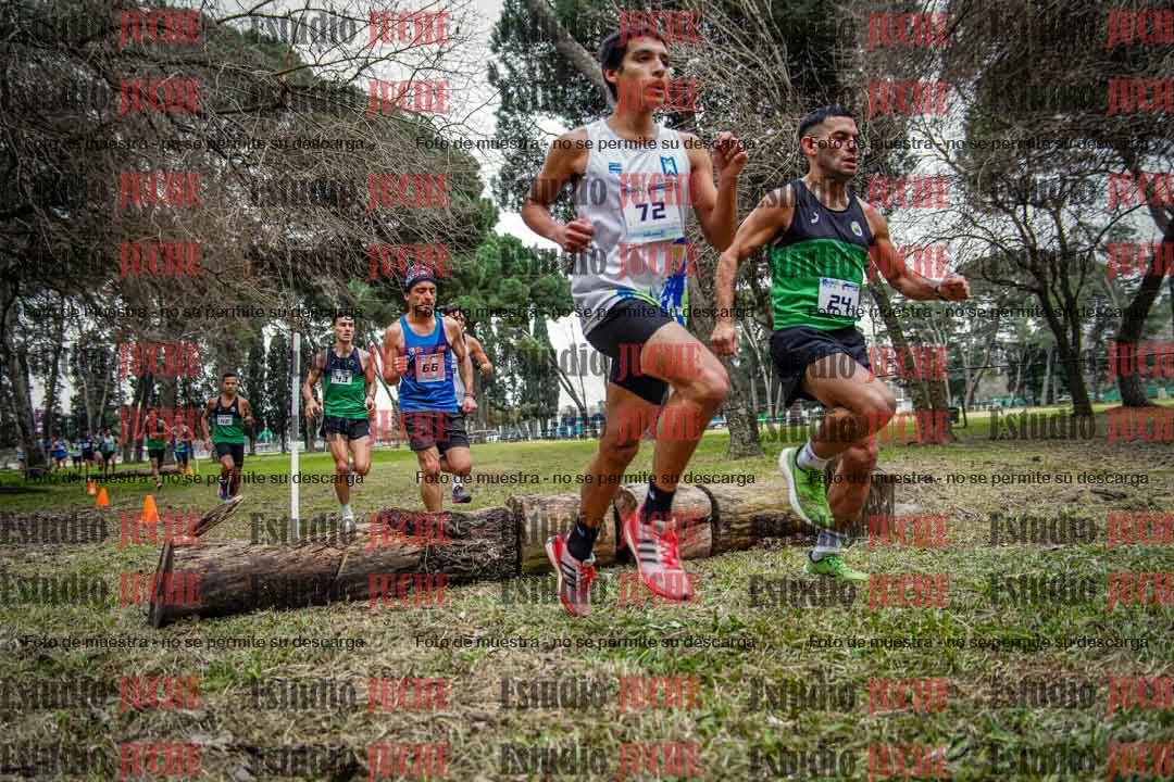 Fotos en el circuito