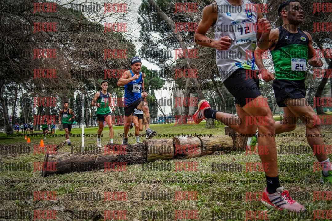 Fotos en el circuito