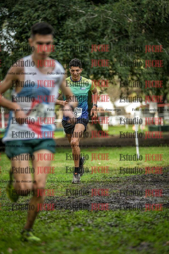 Fotos en el circuito