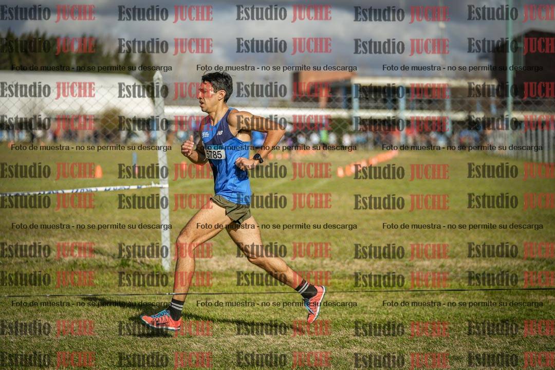 Fotos en el circuito