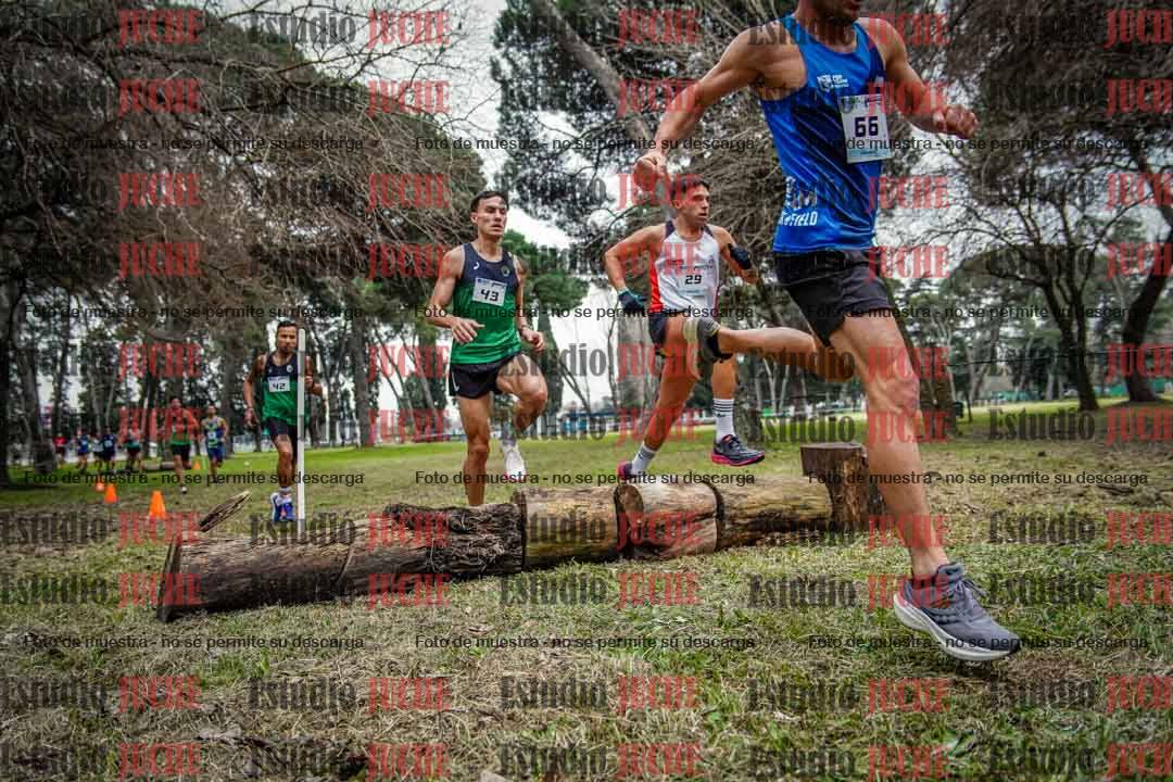 Fotos en el circuito