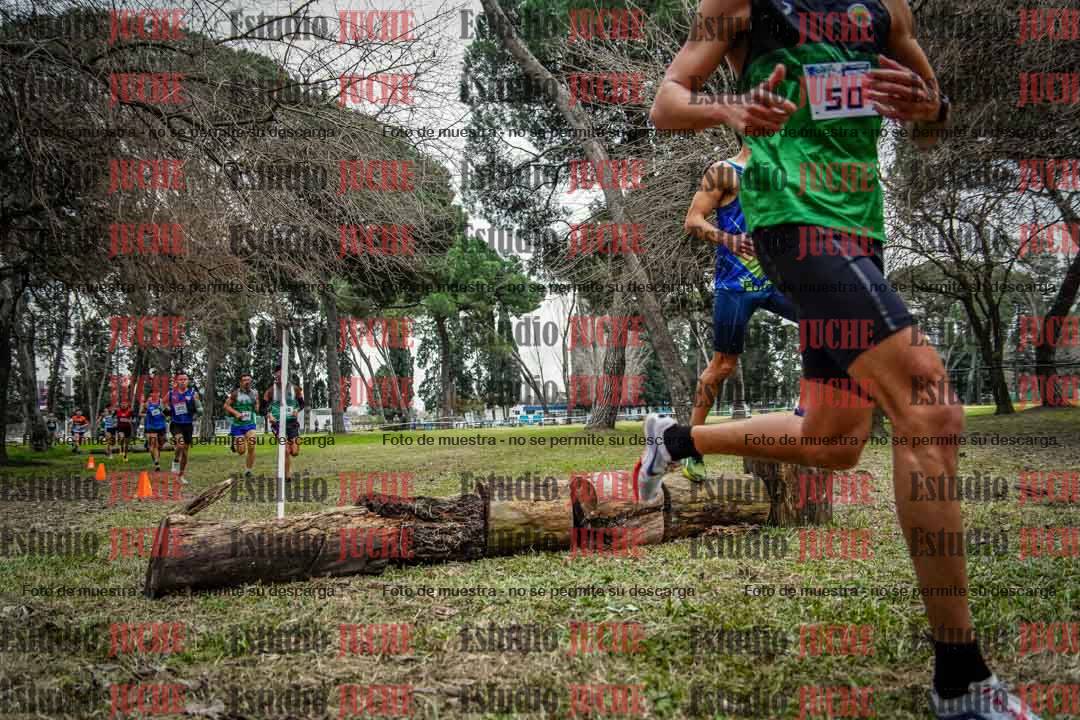 Fotos en el circuito