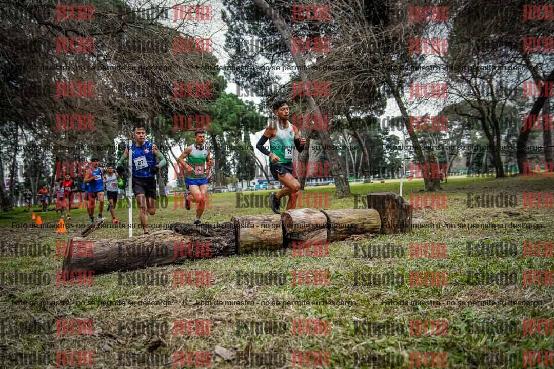 Fotos en el circuito
