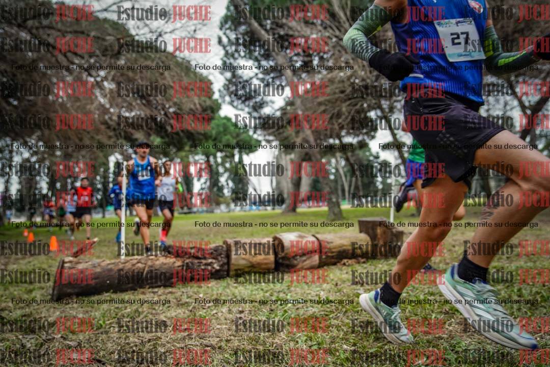 Fotos en el circuito