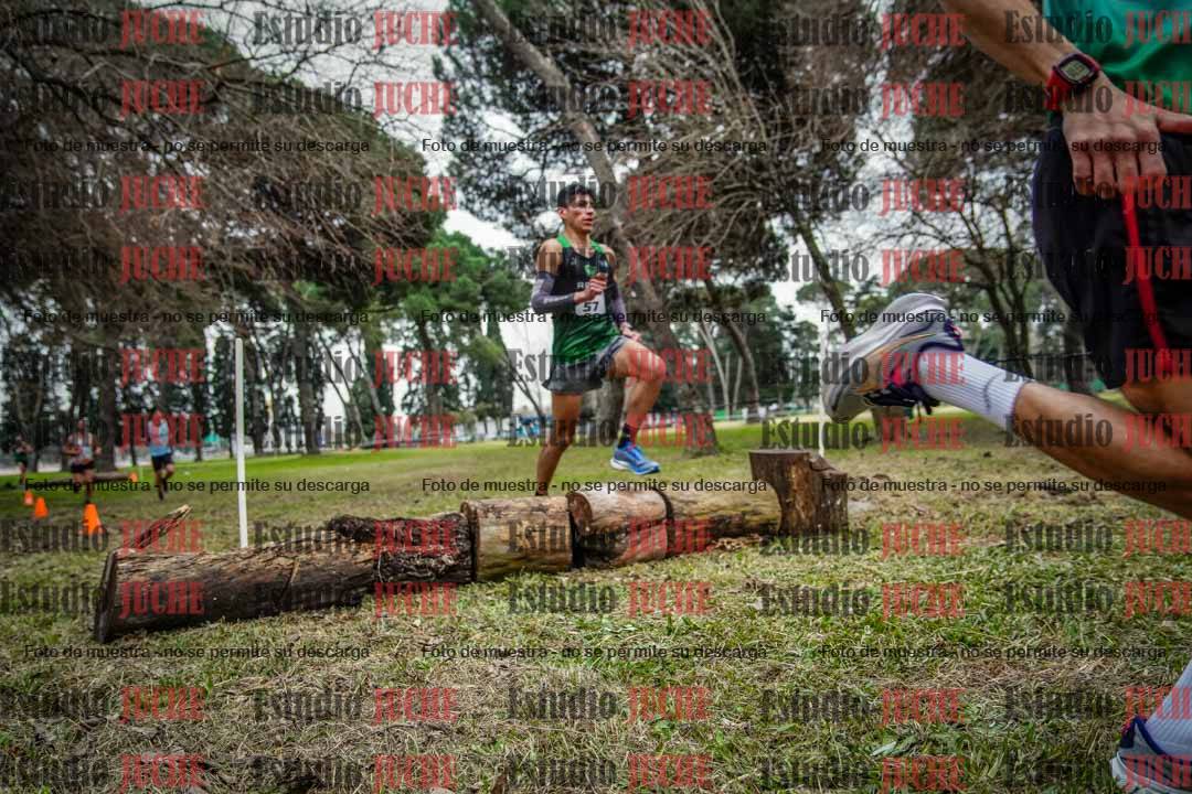 Fotos en el circuito
