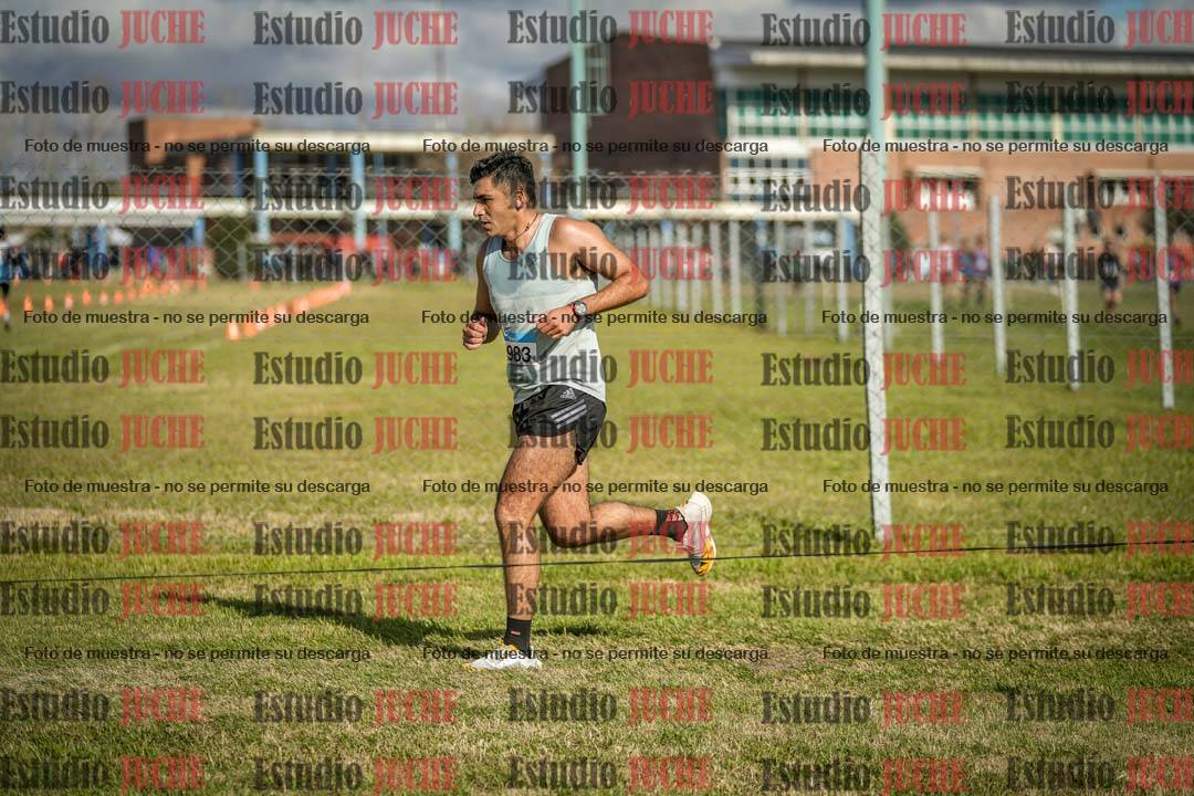 Fotos en el circuito