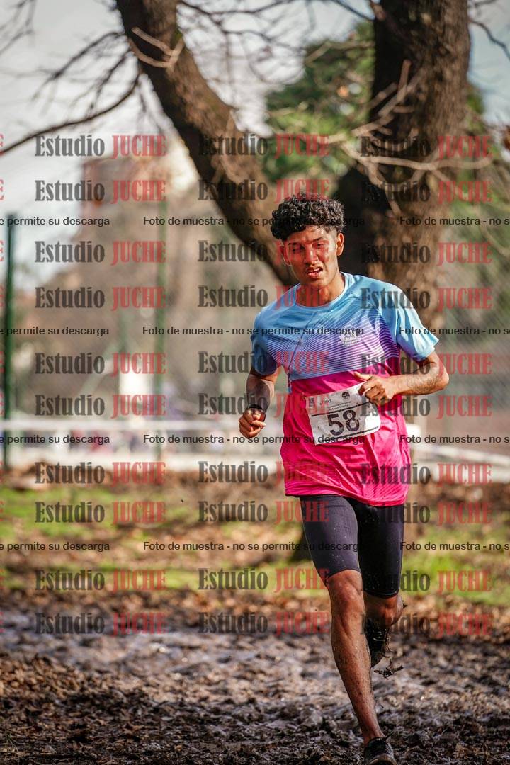 Fotos en el circuito