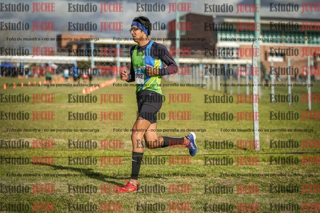 Fotos en el circuito