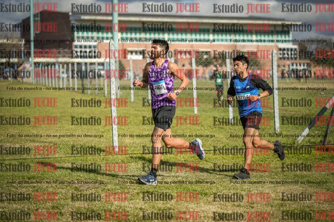 Fotos en el circuito
