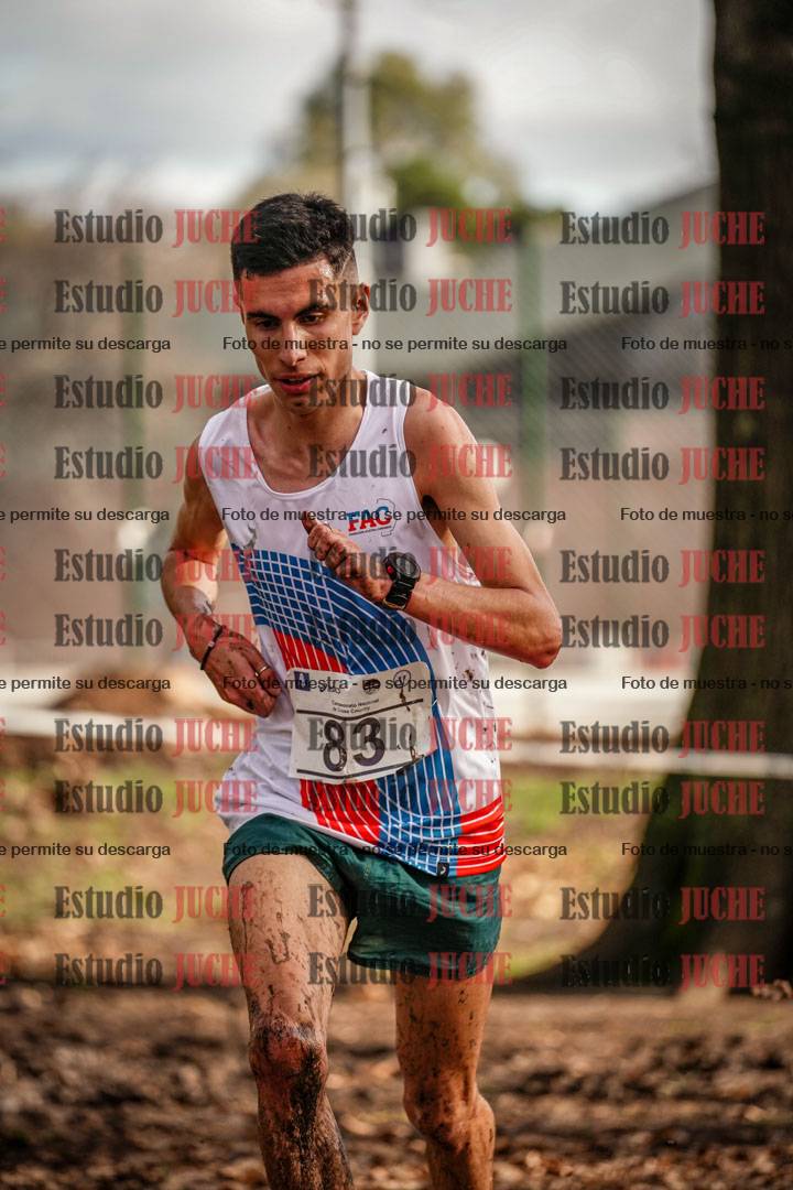Fotos en el circuito