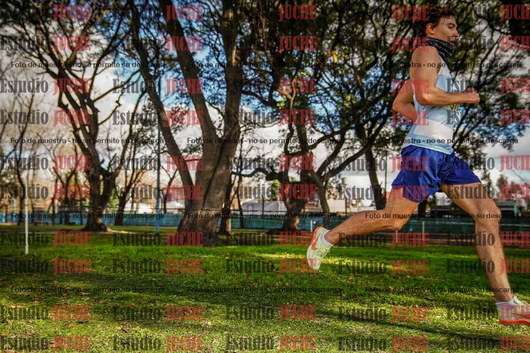 Fotos en el circuito