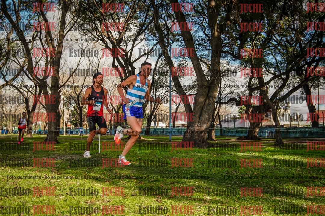 Fotos en el circuito