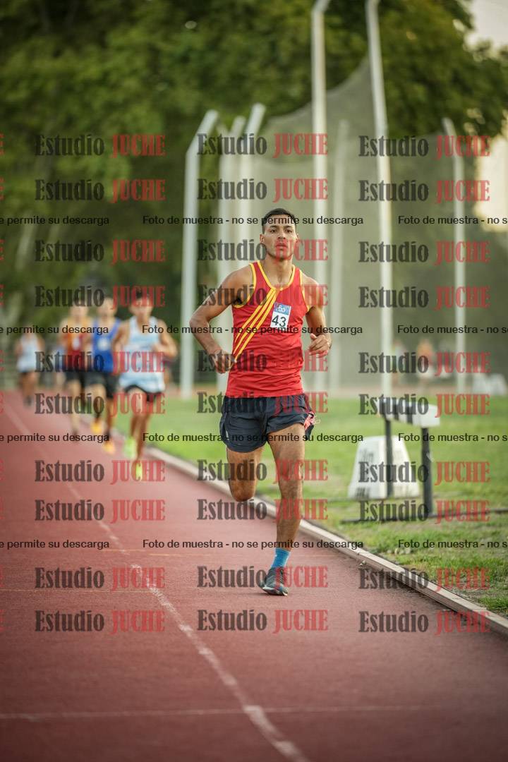 Fotos de los 3000 m llanos de varones
