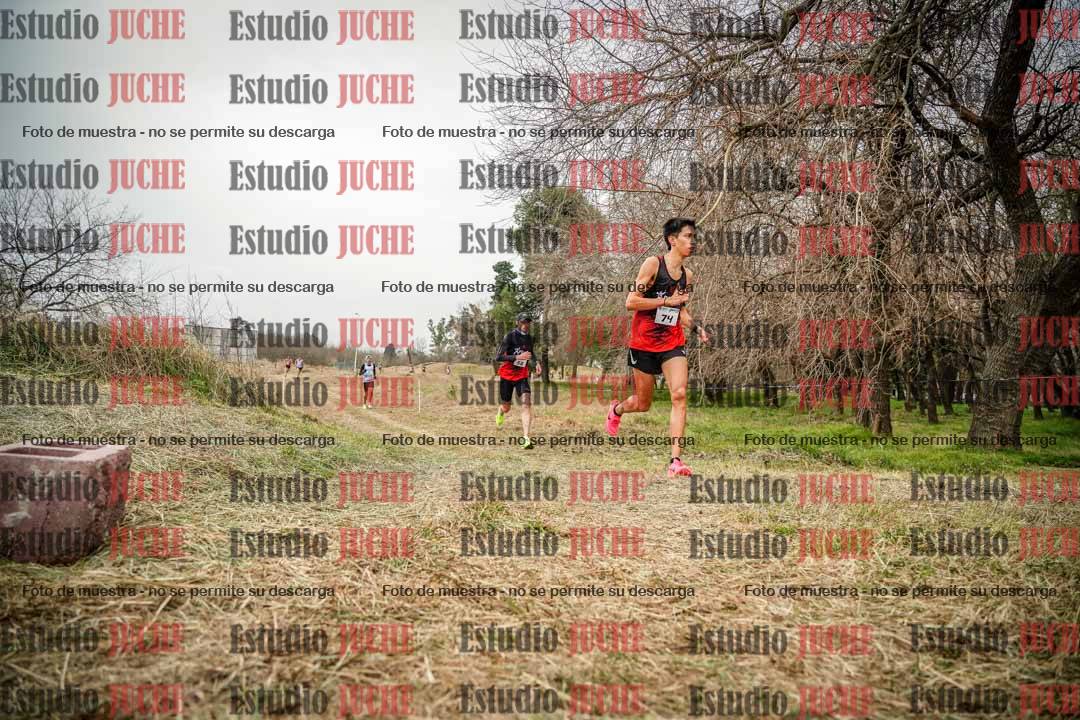 Fotos en el circuito